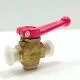 Ball valve argus