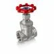 globe-valve-stainless-steel-2