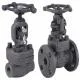 SW valve
