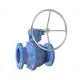 Virgo ball valve