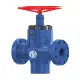 FC Gate Valve