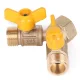 Gas Valve