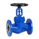 Globe Valve