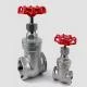 Stainless Steel Gate Valve