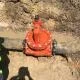 Water main valve