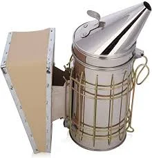 Hình ảnh minh họa (3)