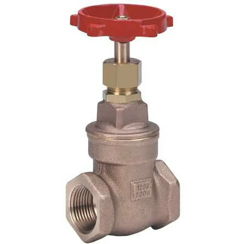 1 Gate Valve 2