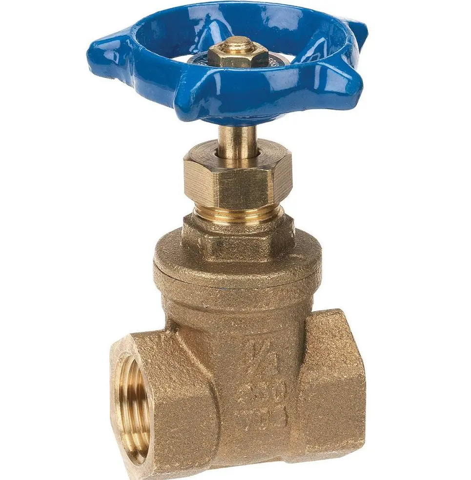 1 Gate Valve