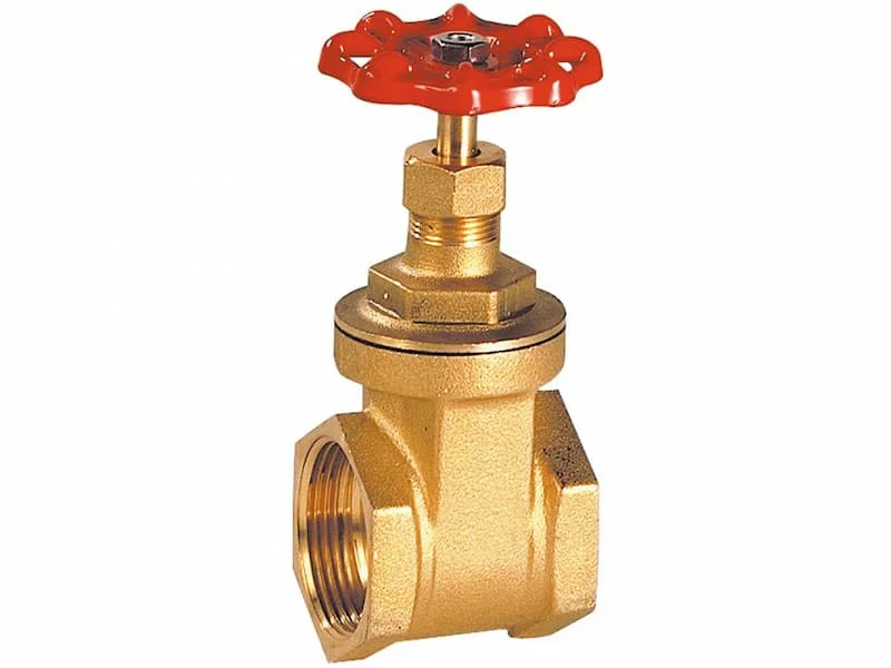 Hình minh họa (3)