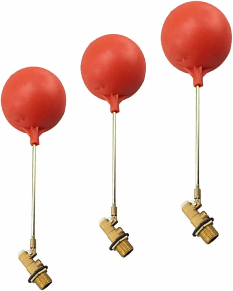 Hình ảnh minh họa (1)