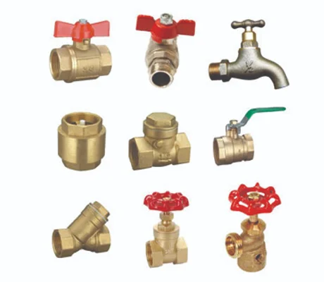 Hình ảnh minh họa (3)