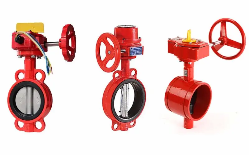 Hình ảnh minh họa (2)