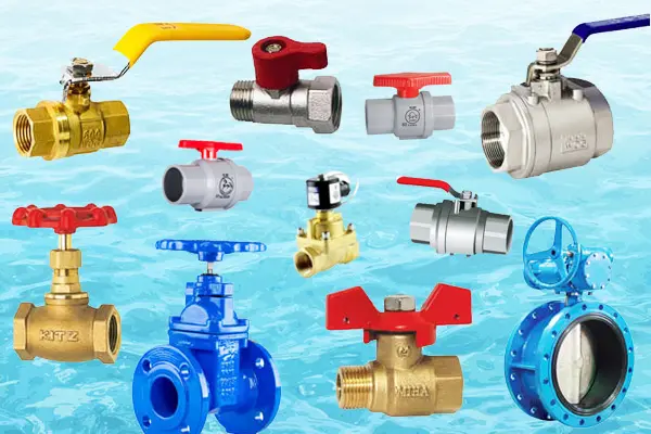 Hình ảnh minh họa (1)