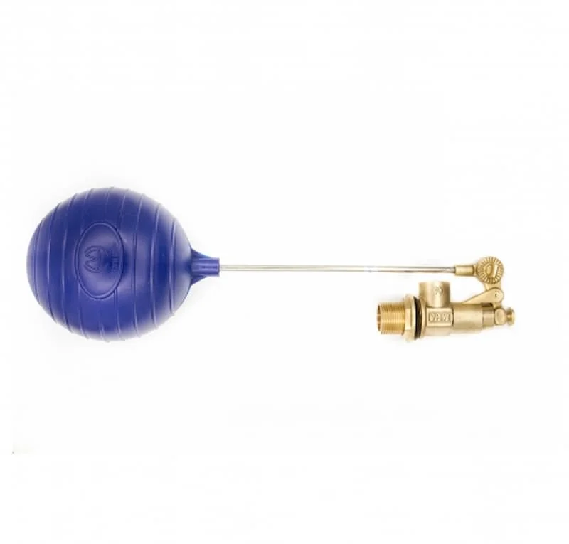 Hình minh họa (1)