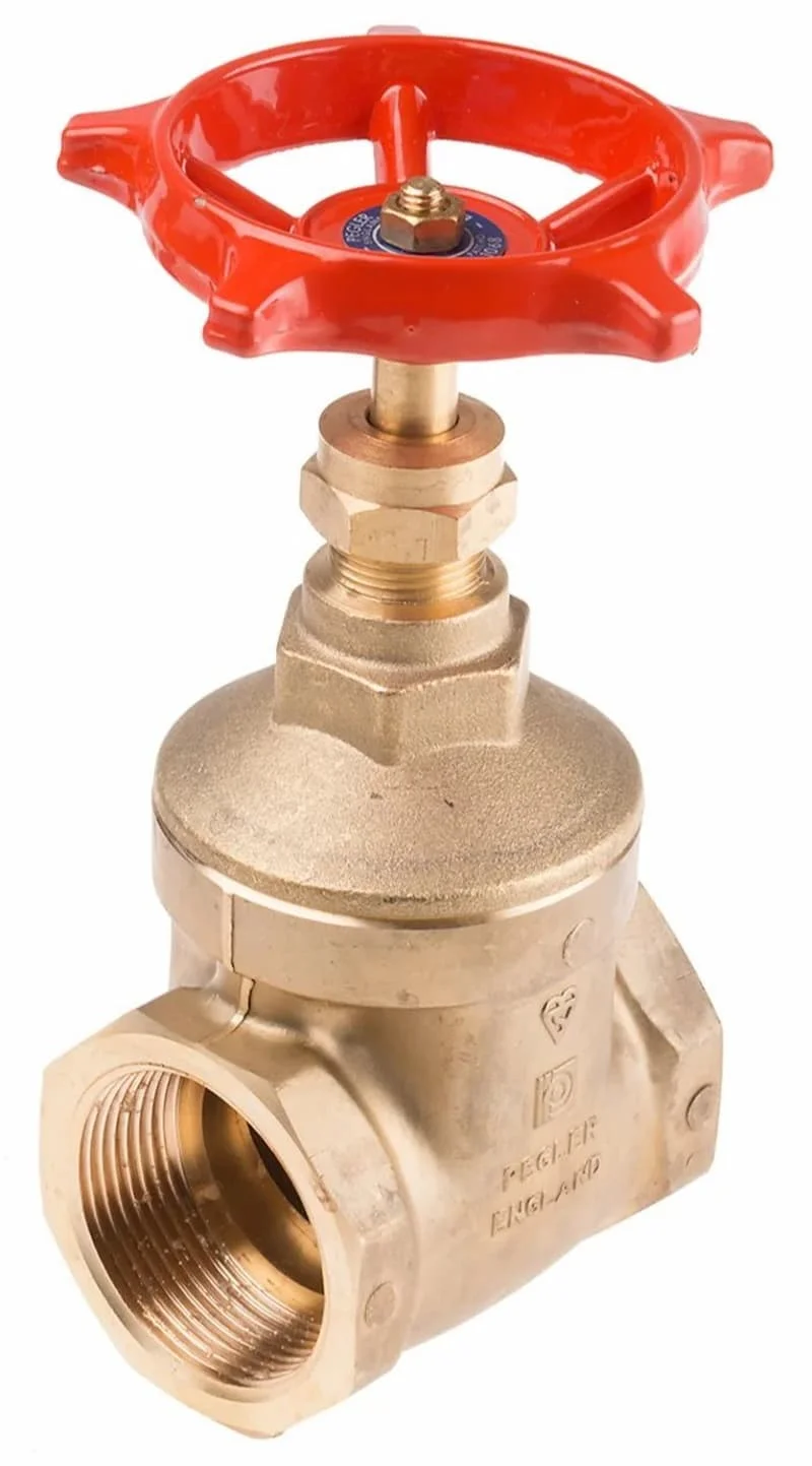 Hình minh họa (3)