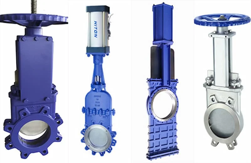 Hình minh họa (3)