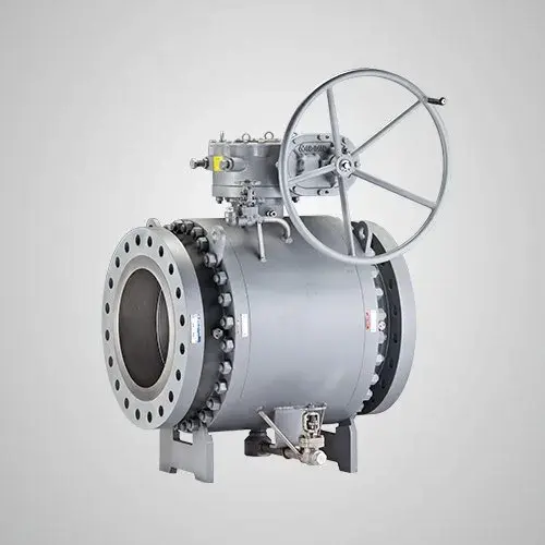 Hình ảnh minh họa (1)