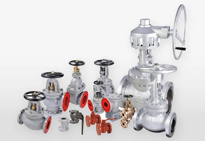 Hình minh họa (1)