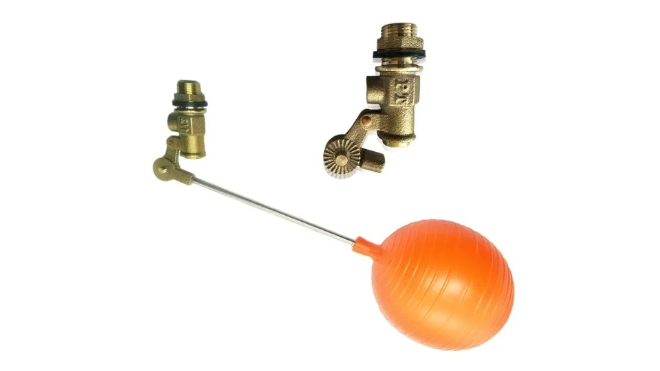 Hình ảnh minh họa (3)