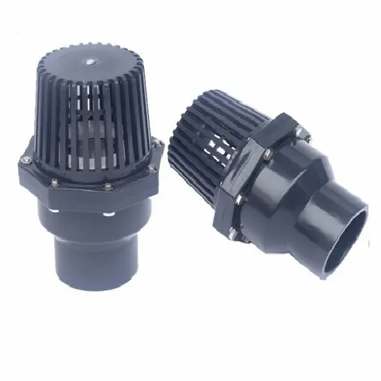 Hình ảnh minh họa (2)