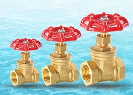 Hình ảnh minh họa (3)