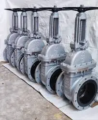 Hình ảnh minh họa (1)