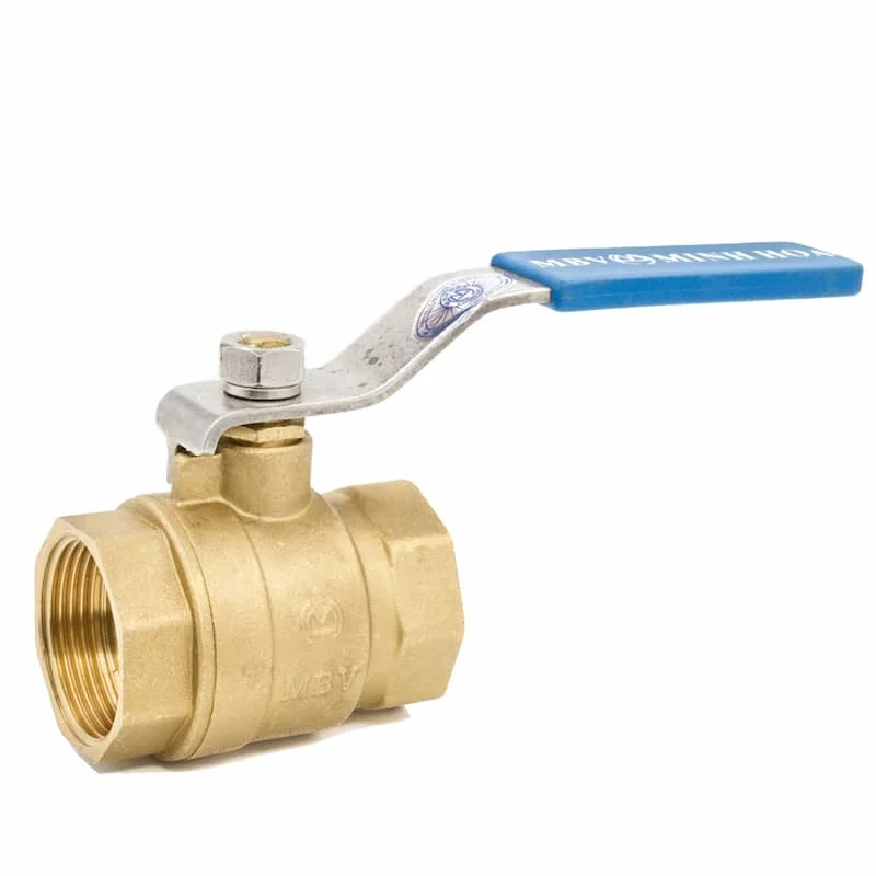 Hình minh họa (3)