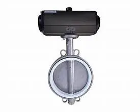 Hình ảnh minh họa (2)