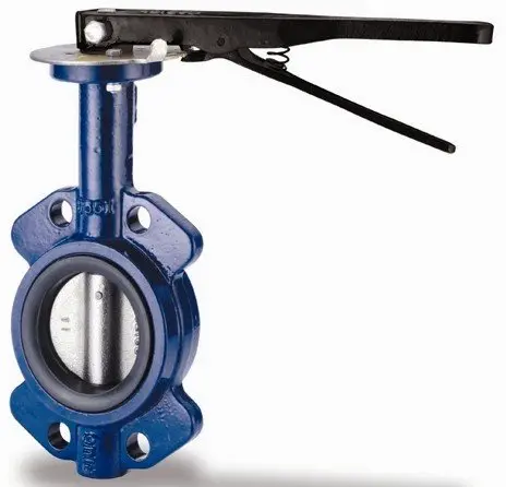 Hình ảnh minh họa (2)