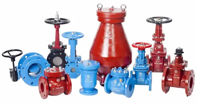 Hình ảnh minh họa (1)