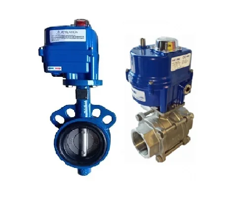 Hình ảnh minh họa (3)