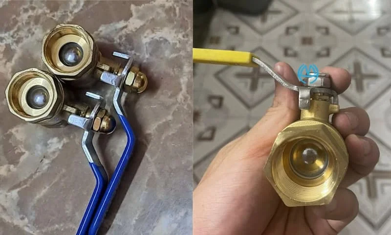 Hình minh họa (2)