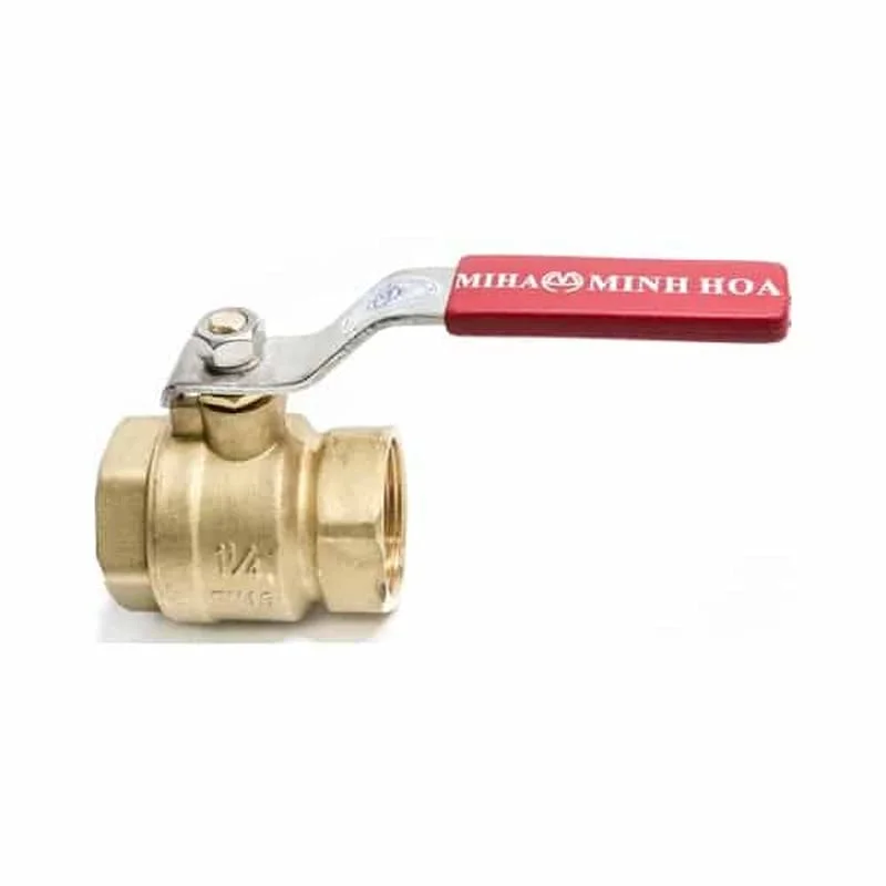 Hình minh họa (3)