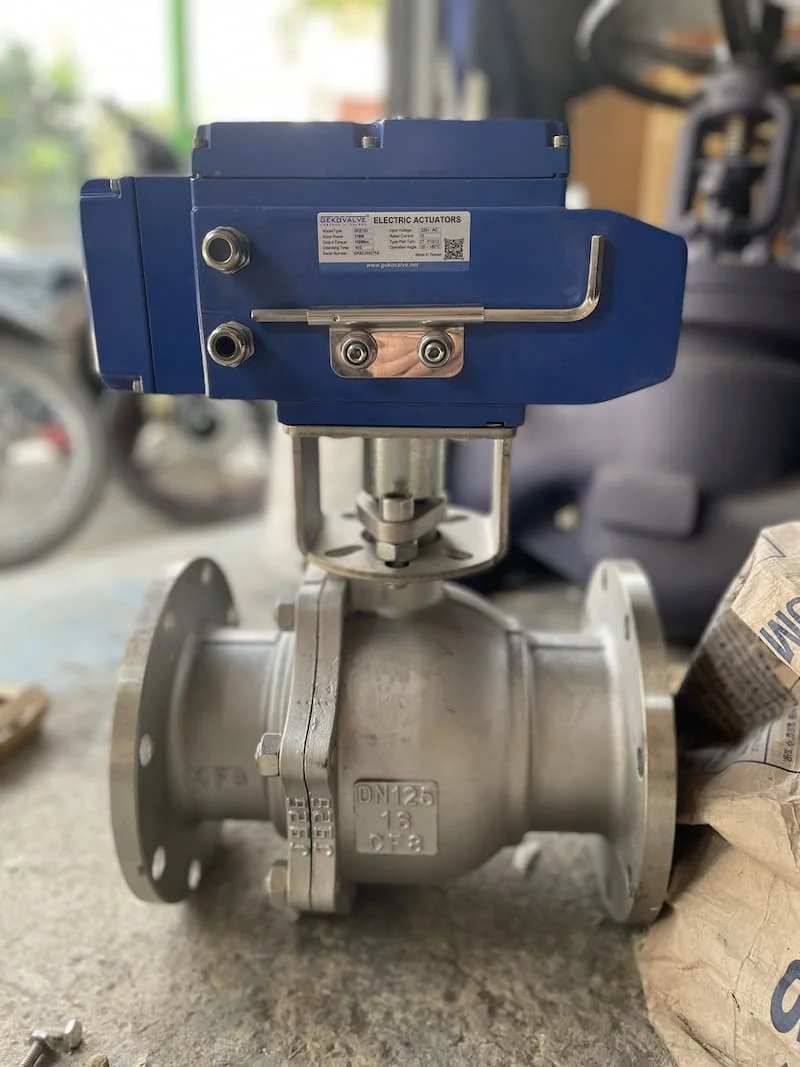 Hình minh họa (3)