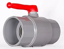 Hình ảnh minh họa (3)