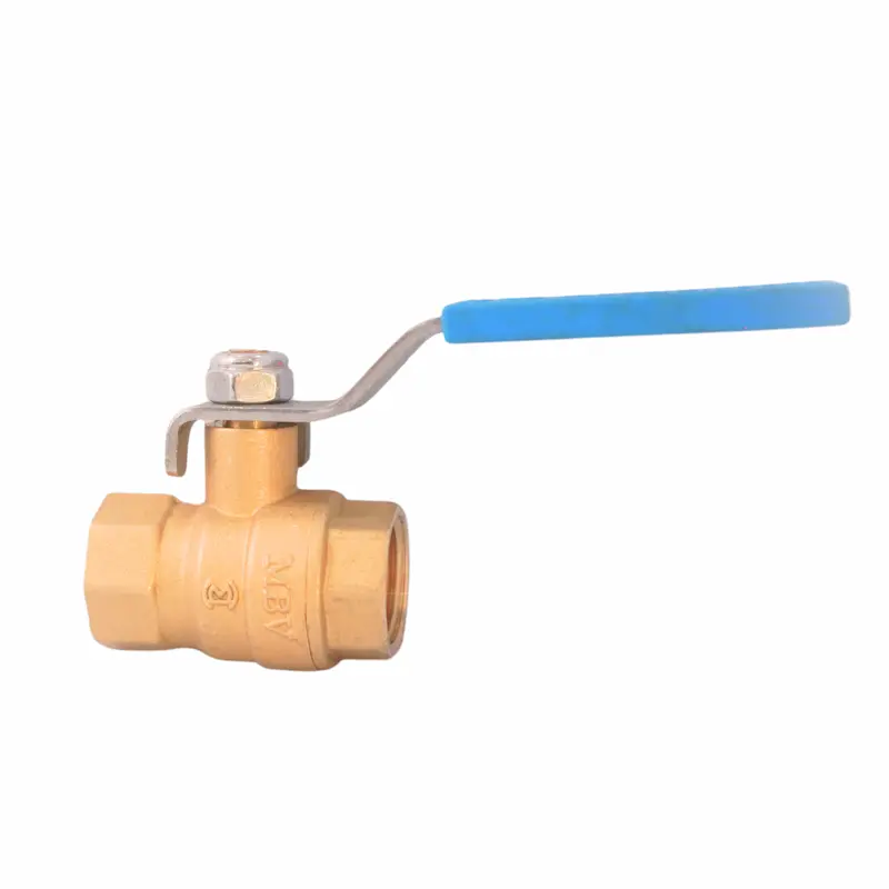 Hình ảnh minh họa (2)