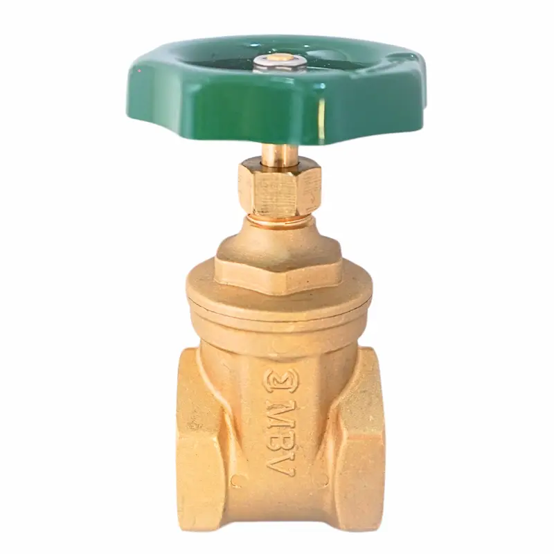 Hình ảnh minh họa (1)