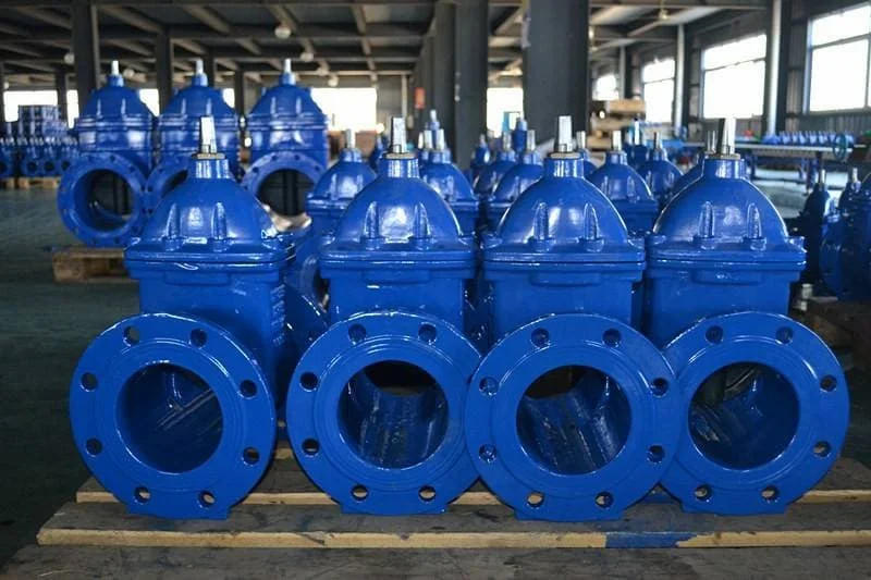 Hình minh họa (3)