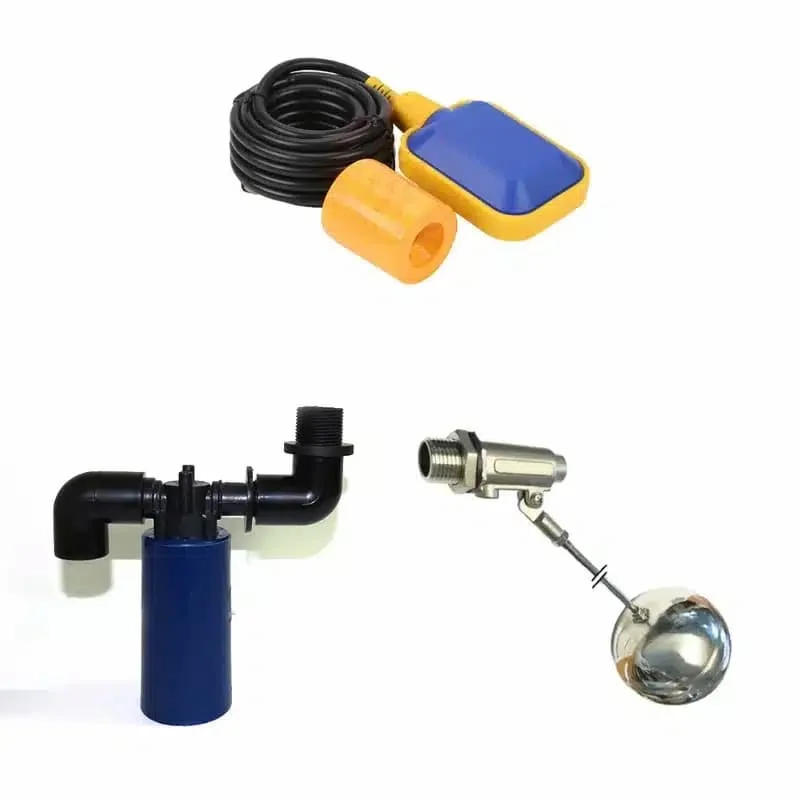 Hình minh họa (3)