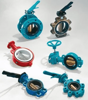 Hình ảnh minh họa (3)