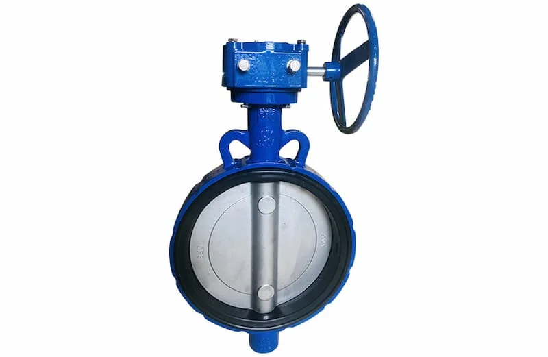 Hình minh họa (3)