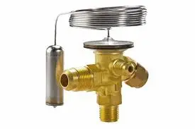 Hình ảnh minh họa (1)