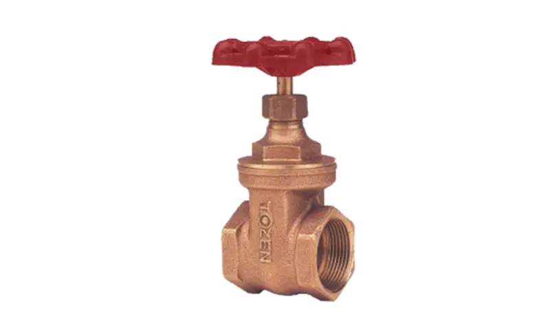 Hình ảnh minh họa (1)