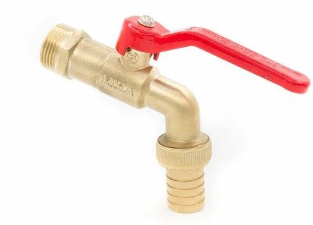 Hình ảnh minh họa (3)