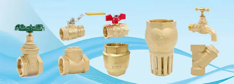 Hình ảnh minh họa (1)