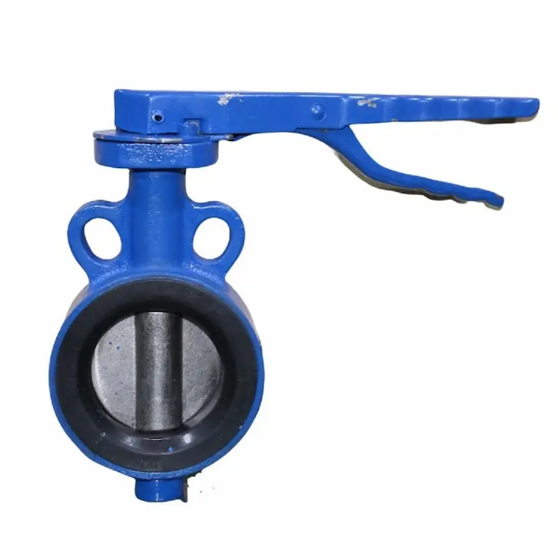 Hình ảnh minh họa (1)