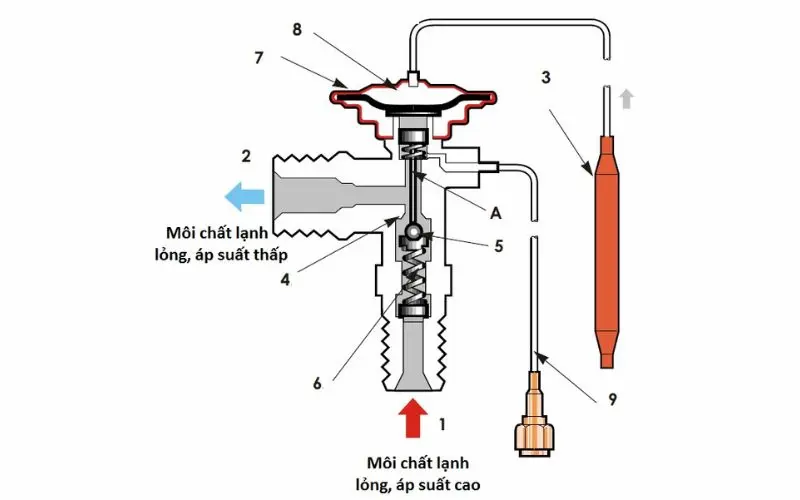 Hình ảnh minh họa (2)