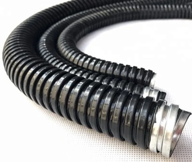 Hình ảnh minh họa (3)