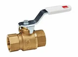 Hình ảnh minh họa (2)