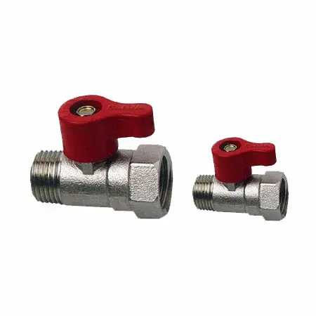 Hình ảnh minh họa (2)